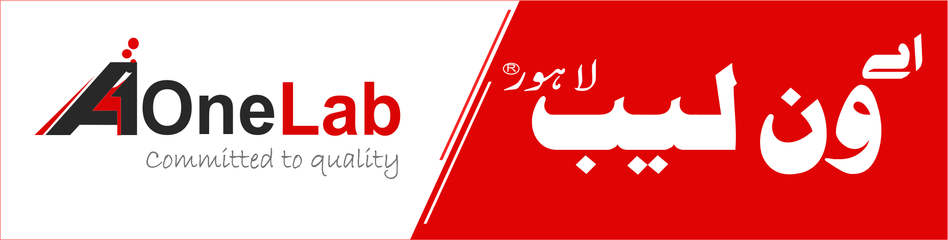 wp slider2